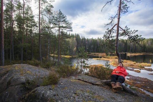 Autumn colours in Nuuksio National Park and its surround