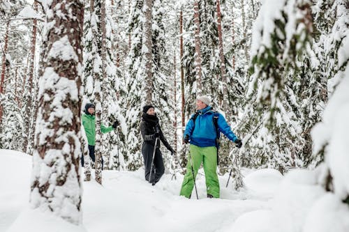 Nature holiday in Wintry Nuuksio and its surroundings
