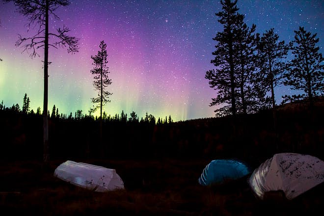 Northern Lights Picnic / Revontuli piknik - Elämys Suomi