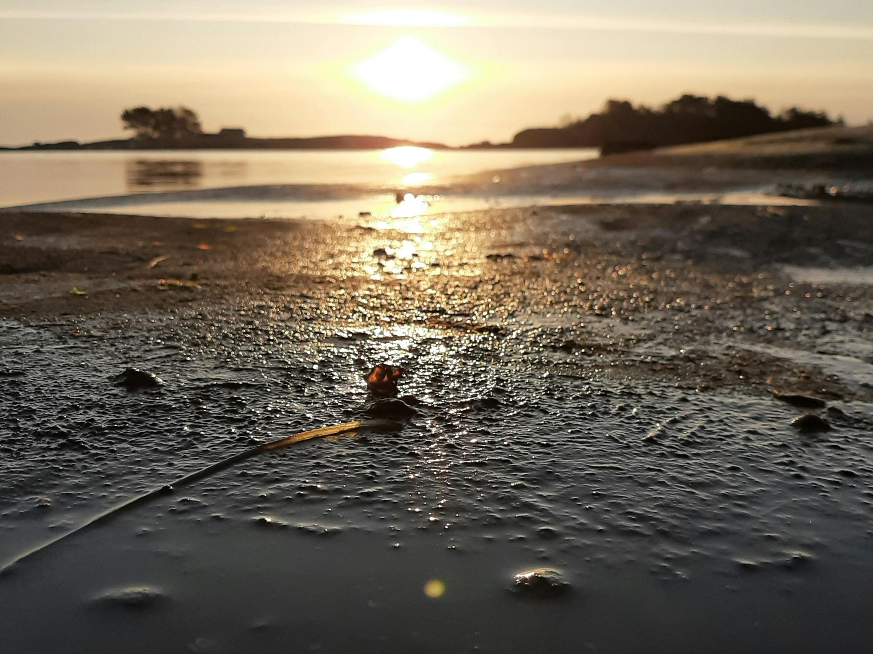 Hanko