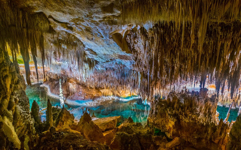 Cuevas del Drach -tippukiviluolasto