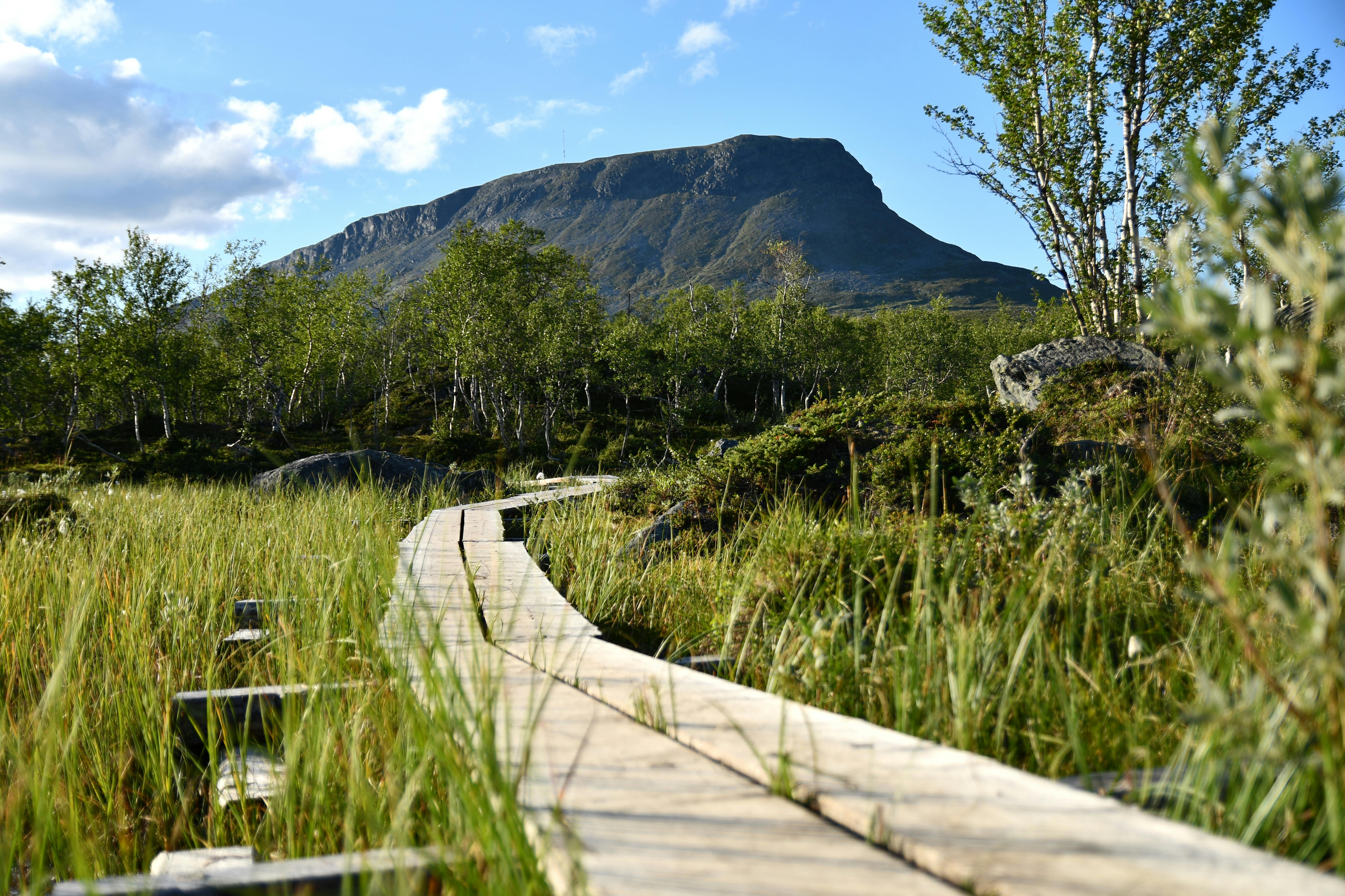 Featured image for “A tour of Käsivarsi Wilderness Area by car”