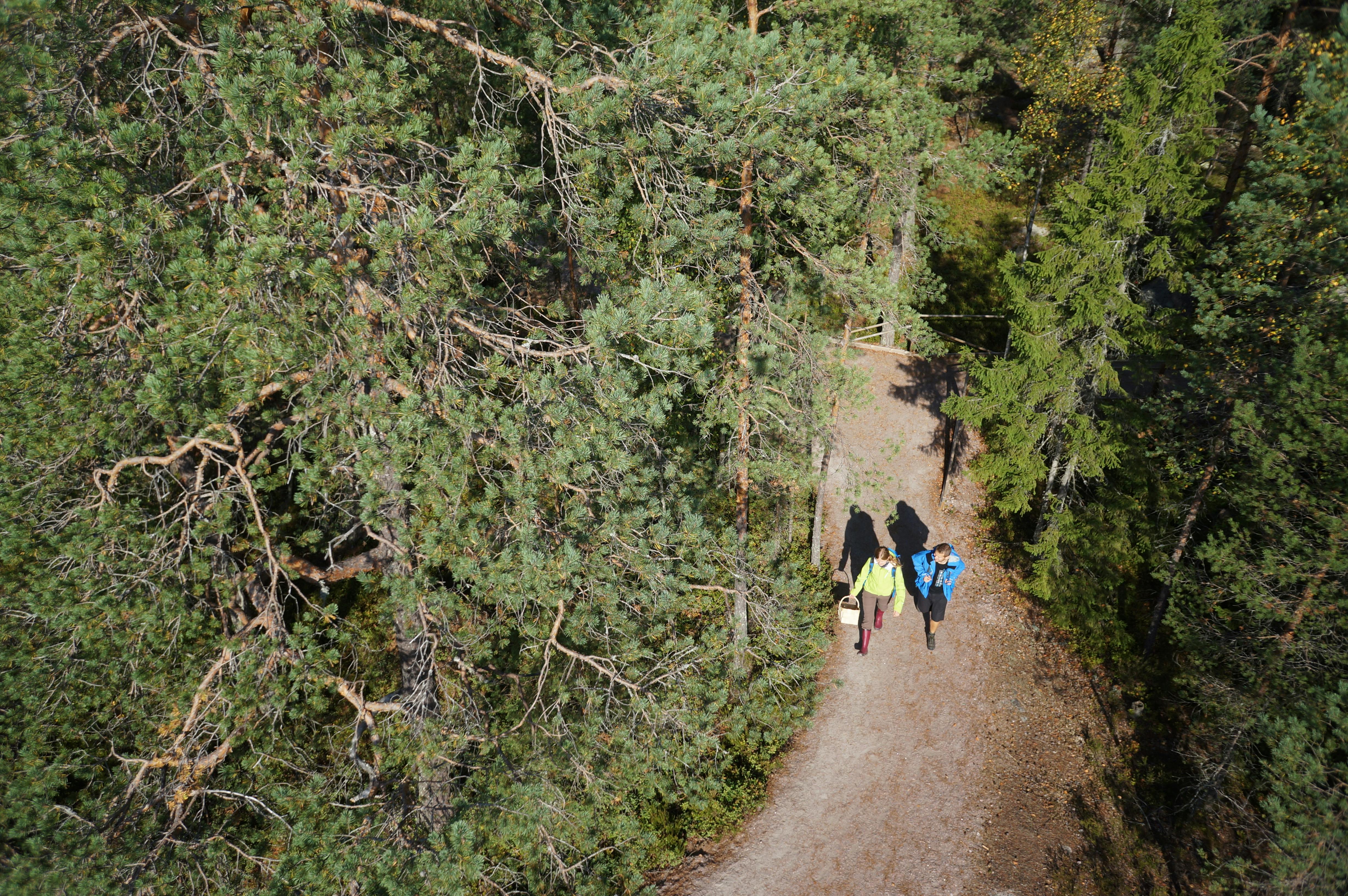 Nuuksio National Park