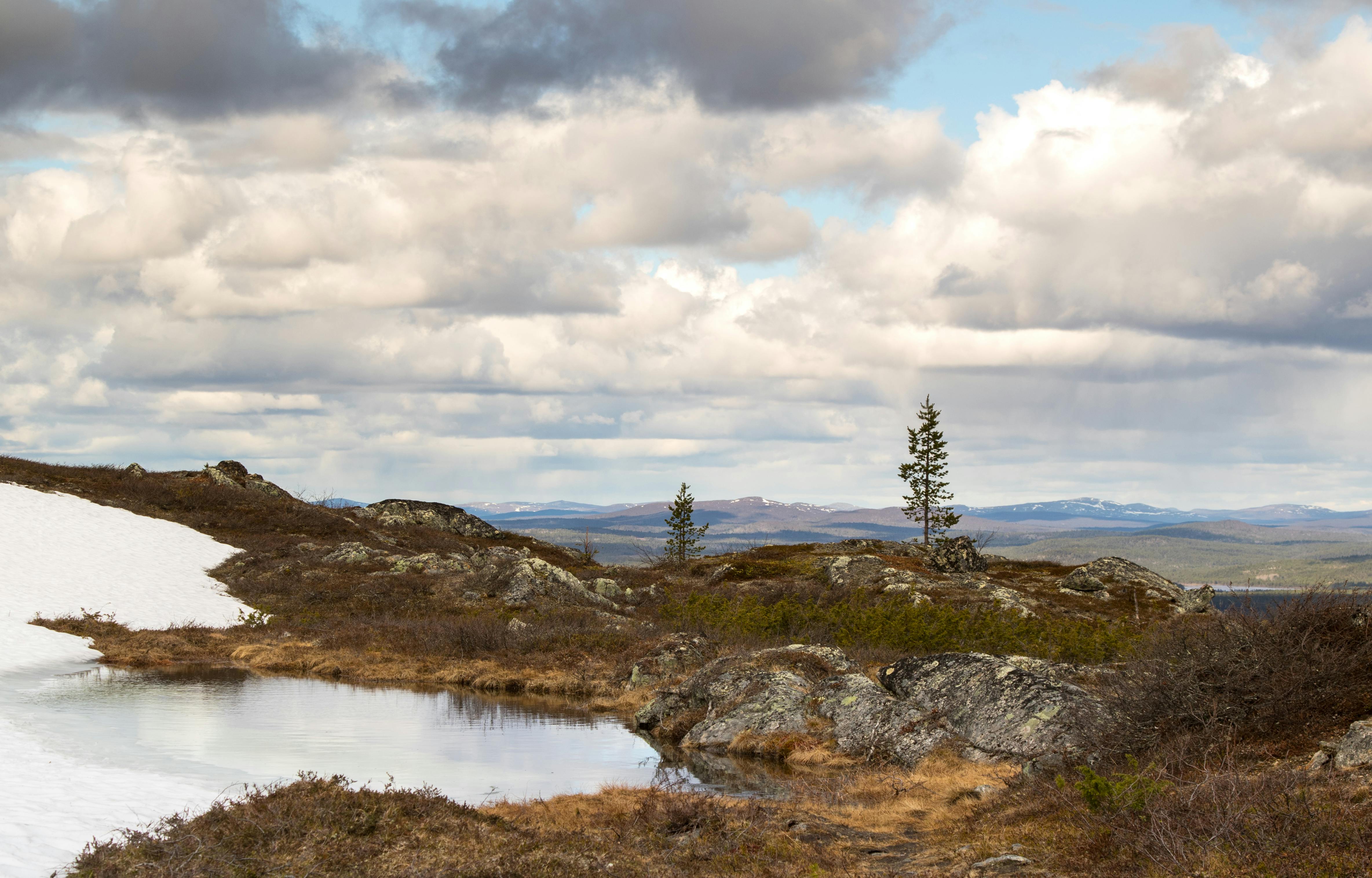 Featured image for “National Parks and Wilderness Area”