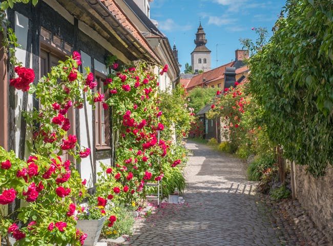 Ruusujen Visby  