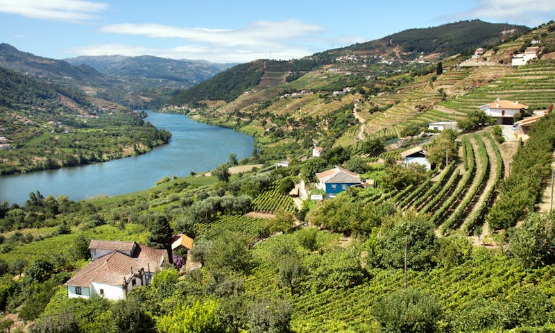 4. päivä Douro-joen laakso, Amarante ja Regua