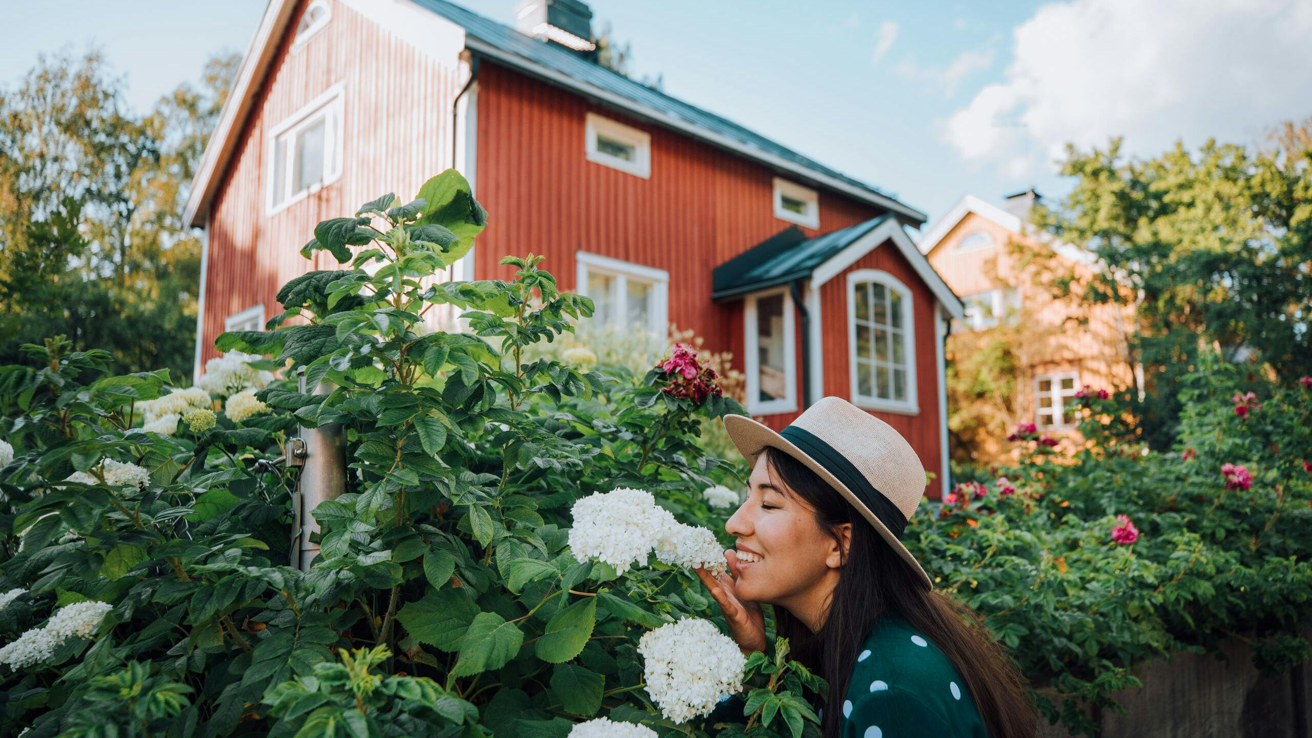 Featured image for “Helsinki Archipelago by foot and Wooden Districts”