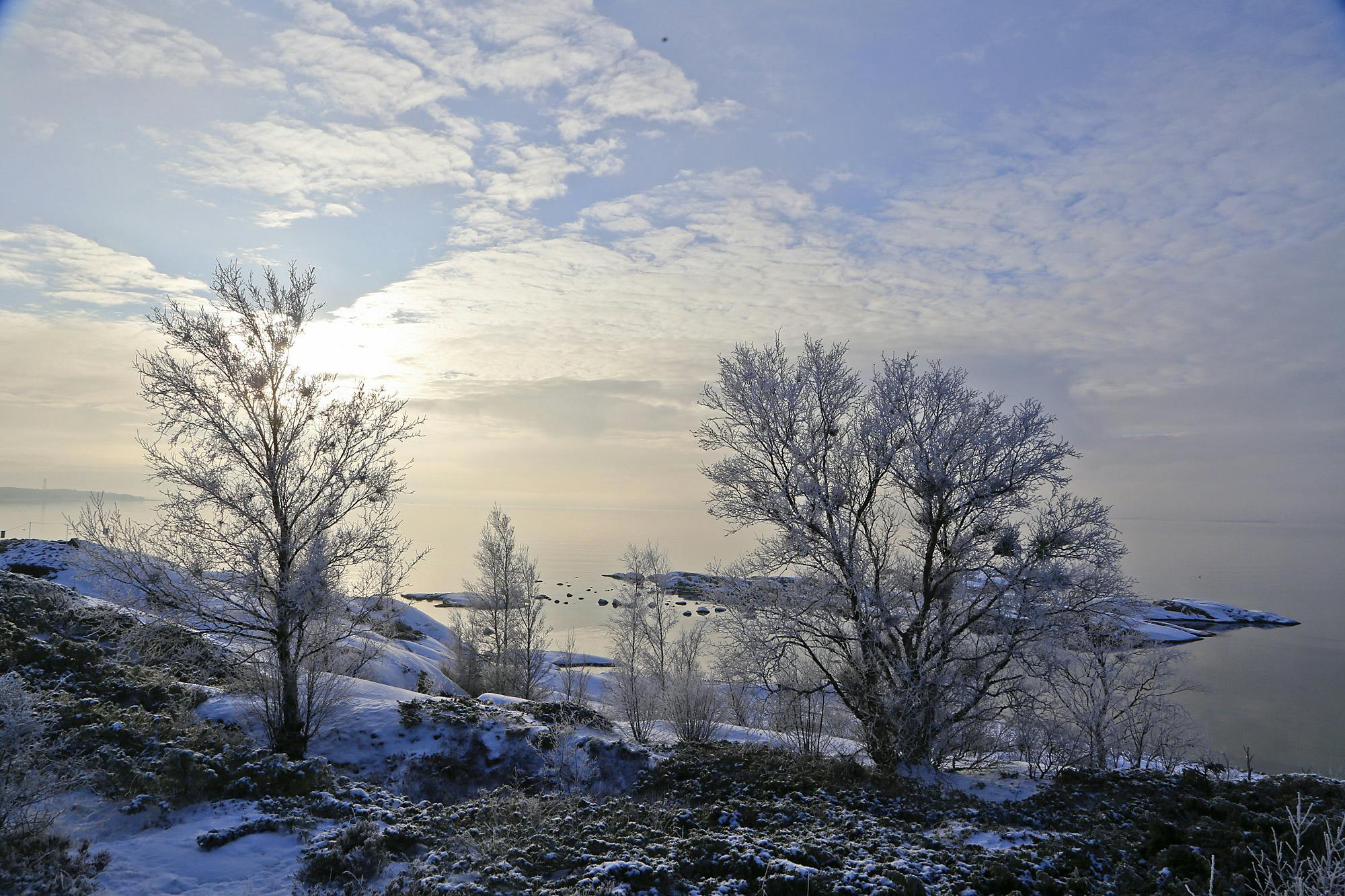 Kemiönsaari