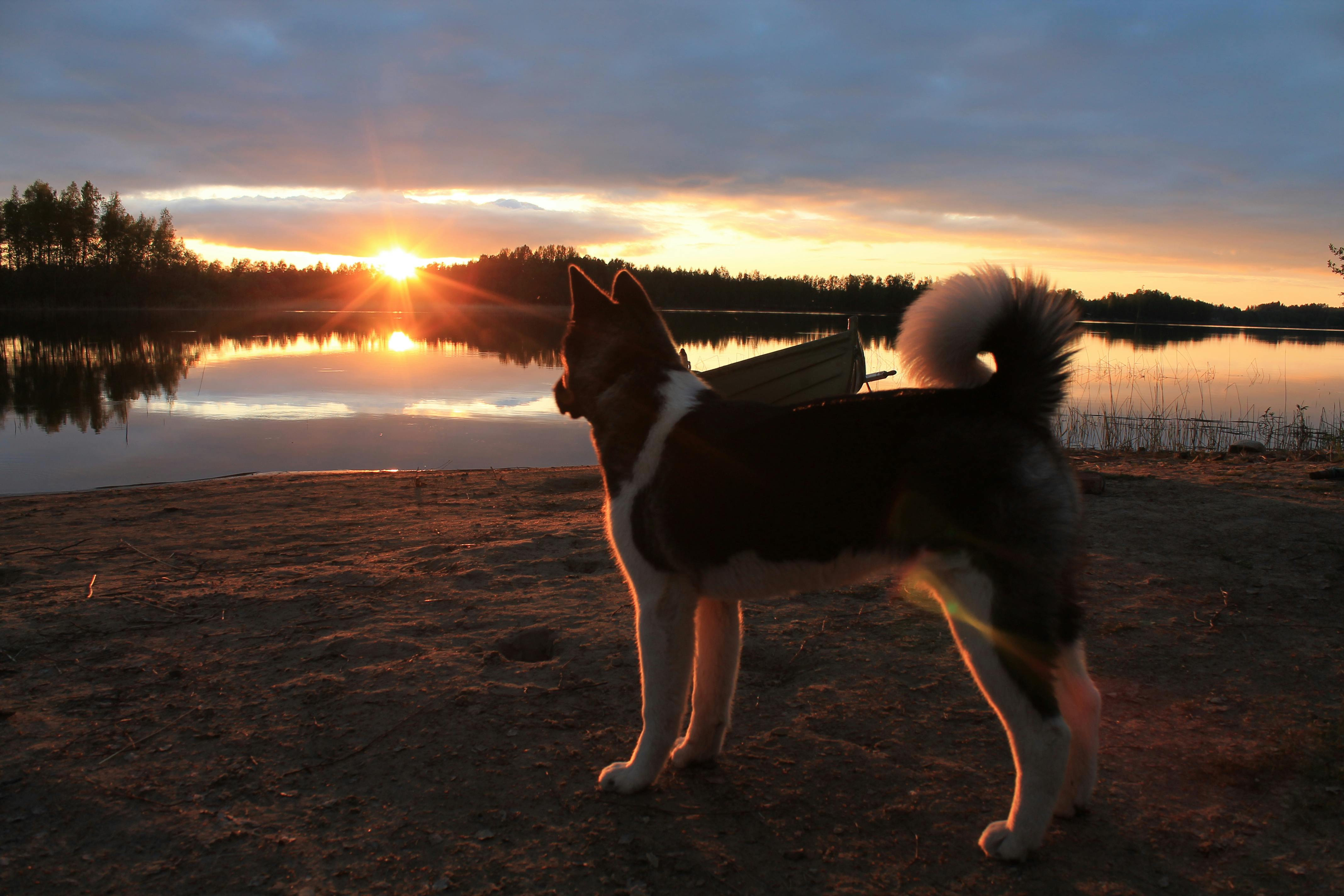 Toivakka