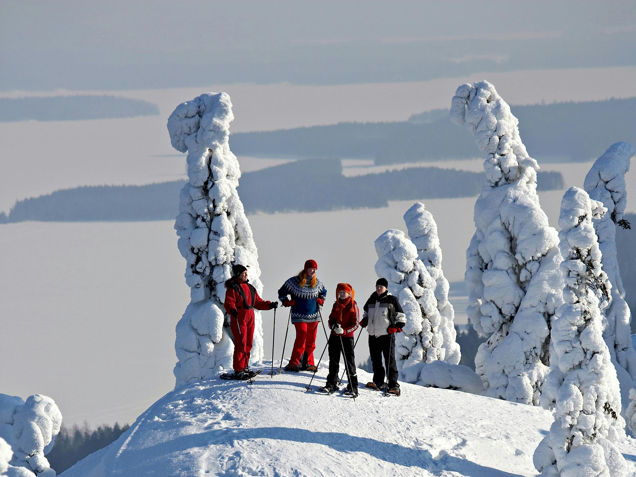 Koli National Park