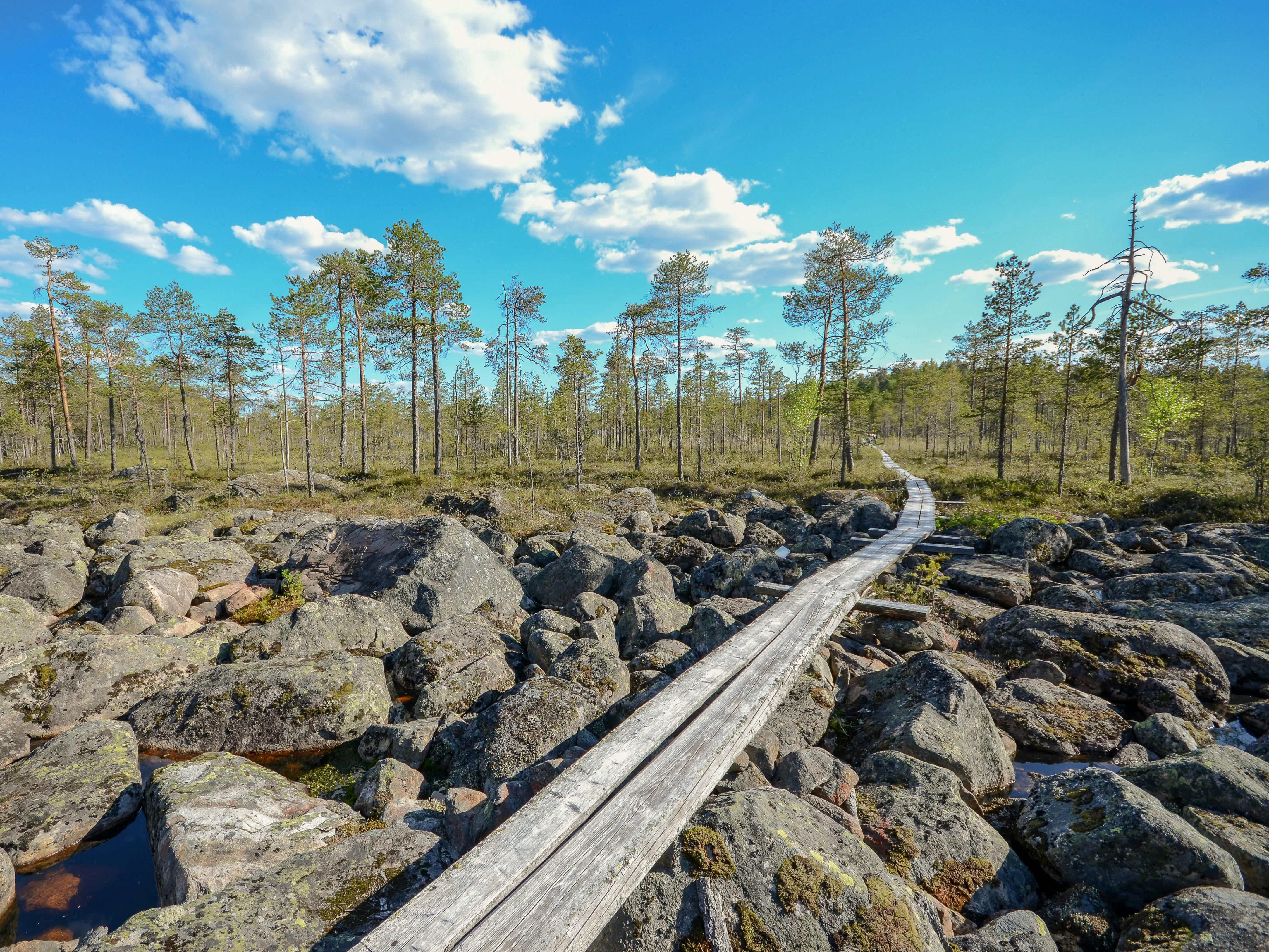 Salamajärven kansallispuisto