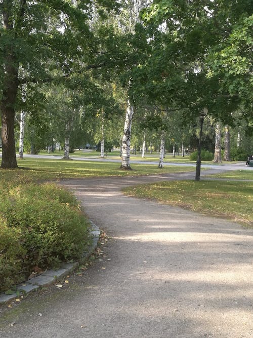Heinola Travel Poppelista Piilipuuhun - Puutarinoita Heinolan kaupunkipuistossa Heinola