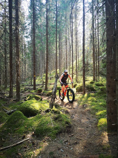 Versona Outdoor Fatbikeretki Leivonmäen kansallispuistossa 3 h Joutsa