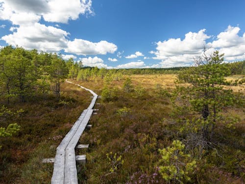 Suomen kansallispuistot & UNESCO-kohteet