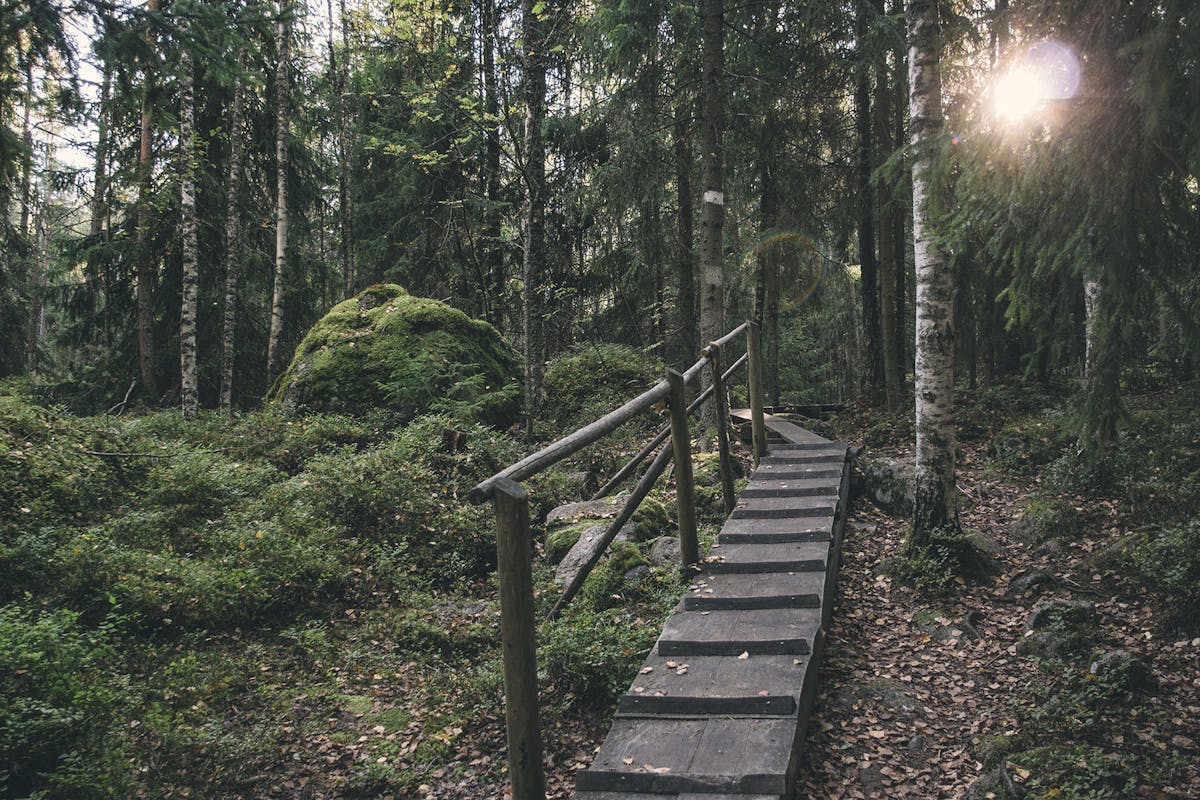 Santalahden polun portaikko metsässä.